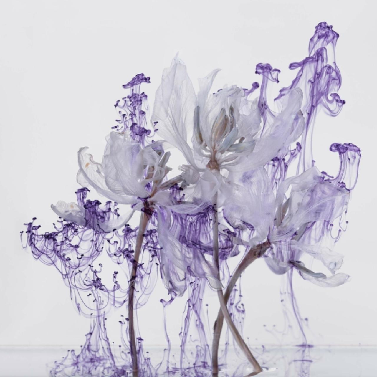 - 2023 Kathrin Linkersdorff