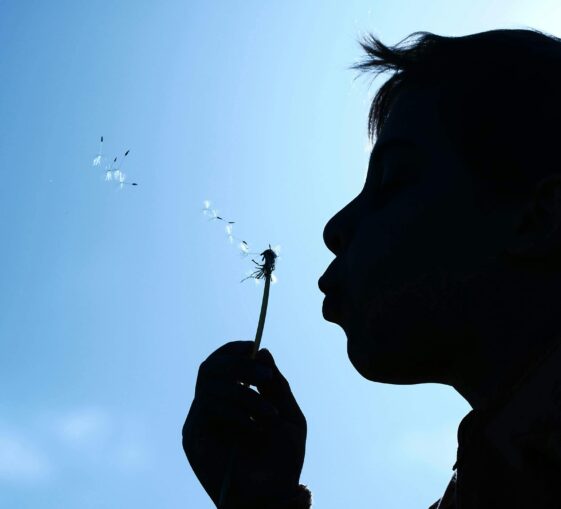 Das Foto zeigt die Silhouette eines Kindergesichtes. Das Kind pustet die Pollen einer Pusteblume in den blauen Himmel.